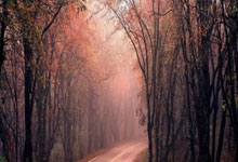 亚冬会:中国队获得女子冰球铜牌.:亿万28