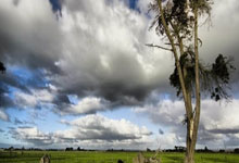 [英超]大战在即 双红会！一边倒？.：亿万28