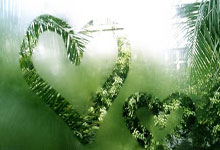 1亿转会费加盟恒大，加入中国籍后，他为何代表国足0出战？.